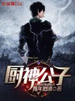 《厨神公子》小说封面