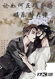 《论如何正确套路娱乐圈大佬》小说封面