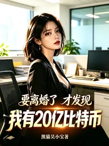 《要离婚了才发现我有二十亿比特币》小说封面