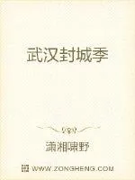 《武汉封城季》小说封面