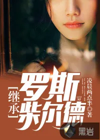 《继承罗斯柴尔德》小说封面
