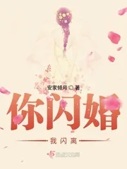 《你闪婚我闪离》小说封面