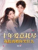 《十年爱意耗尽，我提离婚你哭什么》小说封面