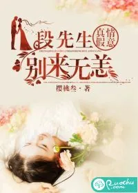 《真情假意:段先生别来无恙》小说封面