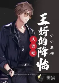 《庆贺吧,王婿的降临!》小说封面