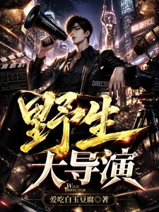 《野生大导演》小说封面