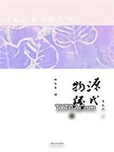 《源氏物语》小说封面