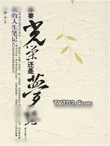 《你要光荣还是梦想(我的人生笔记)》小说封面