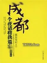 《成都，今夜请将我遗忘》小说封面