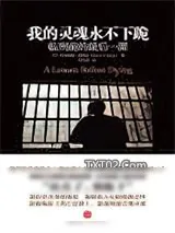 《我的灵魂永不下跪》小说封面