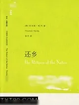 《还乡》小说封面