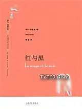 《红与黑》小说封面