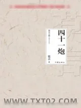 《四十一炮》小说封面