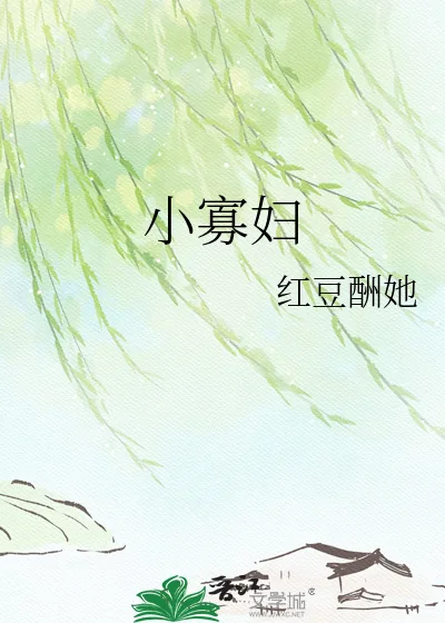 《小寡妇》小说封面