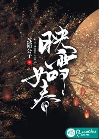 《映雪如春》小说封面
