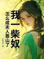 《我一柴奴,怎么成夫人靠山了?》小说封面