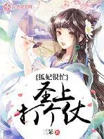 《狐妃很忙：圣上打个仗？》小说封面
