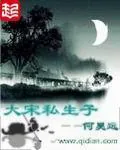 《大宋私生子》小说封面