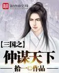 《三国之仲谋天下》小说封面