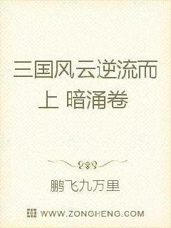 《三国风云逆流而上》小说封面