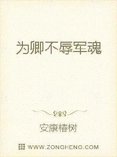 《为卿不辱军魂》小说封面