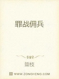 《罪战佣兵》小说封面