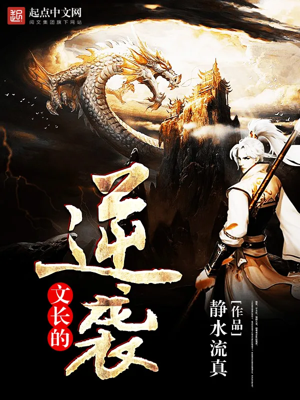 《文长的逆袭》小说封面