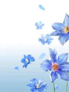 《闲谈古事》小说封面