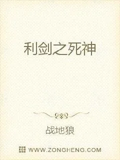 《利剑之死神》小说封面