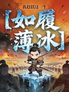 《我赵括这一生如履薄冰》小说封面