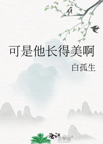 《可是他长得美啊》小说封面