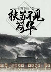 《扶苏不见荷华》小说封面