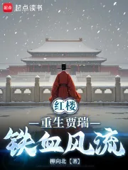 《红楼:重生贾瑞,铁血风流》小说封面