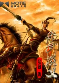 《宋武演义》小说封面