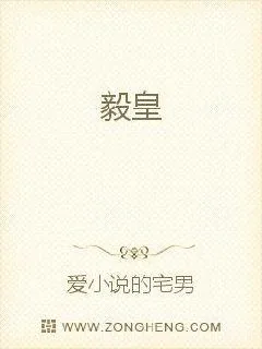 《毅皇》小说封面