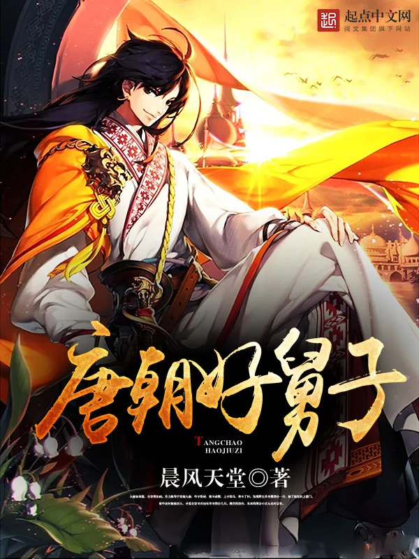 《唐朝好舅子》小说封面