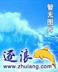 《孤胆战群魔》小说封面