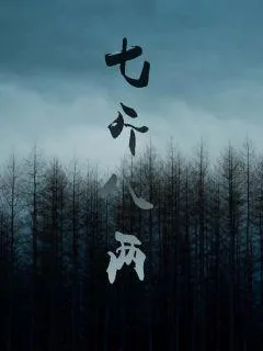 《七斤八两》小说封面
