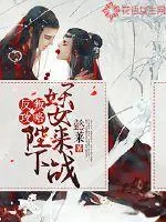 《反叛攻略：陛下，妖女来战》小说封面