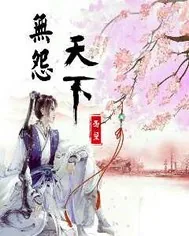 《无怨天下》小说封面