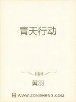 《青天行动》小说封面