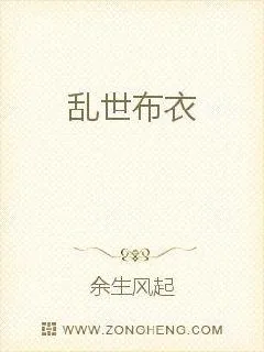 《勋阳布衣》小说封面