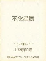 《不念星辰》小说封面