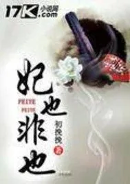 《妃也非也》小说封面