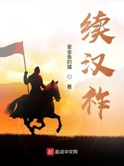 《续汉祚》小说封面