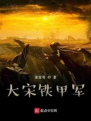《大宋铁甲军》小说封面