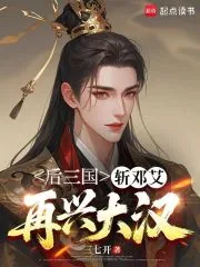 《后三国:斩邓艾,再兴大汉》小说封面