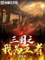 《三国之我为王者》小说封面