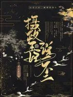 《摄政王妃她说一不二》小说封面