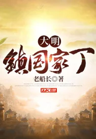 《大明镇国家丁》小说封面